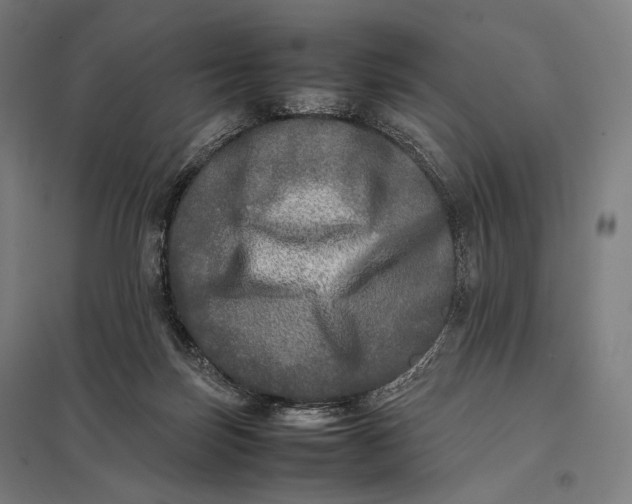 X0000097860171200803281320