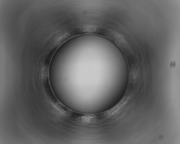 X0000097860172200803281320