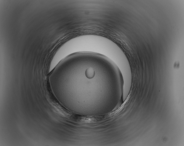 X0000097860174200803281320