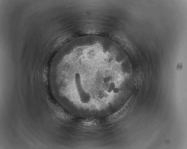 X0000097860175200803281320