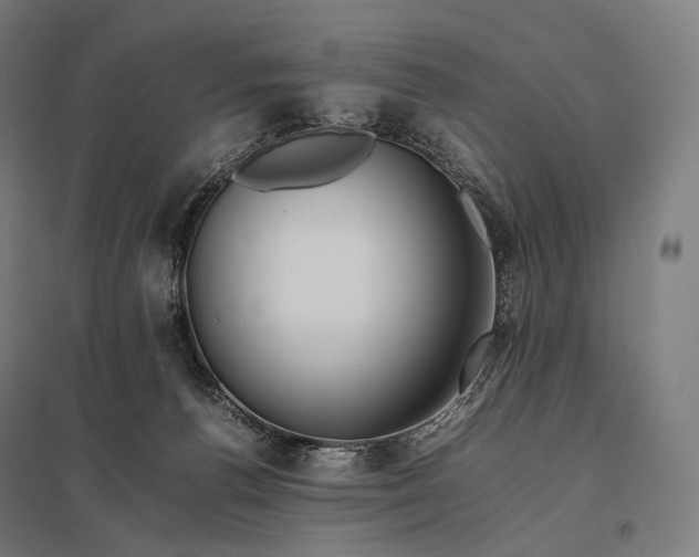 X0000097860176200803281320