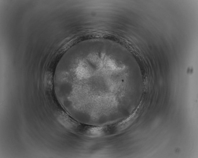 X0000097860178200803281320