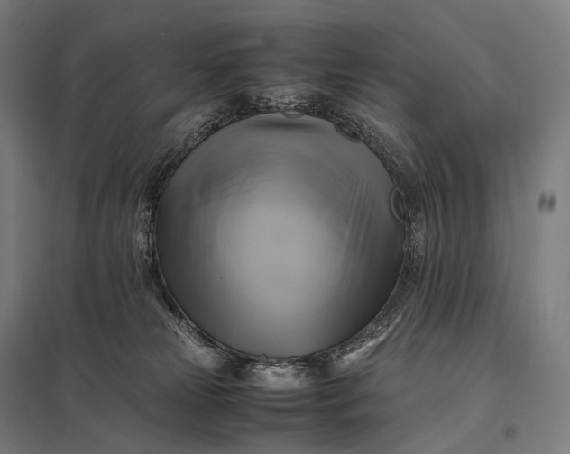 X0000097860181200803281320