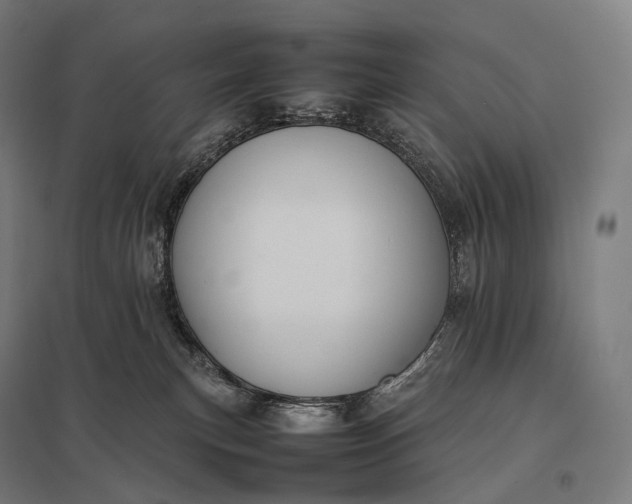 X0000097860183200803281320