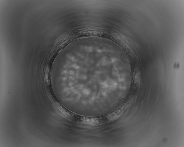 X0000097860185200803281320