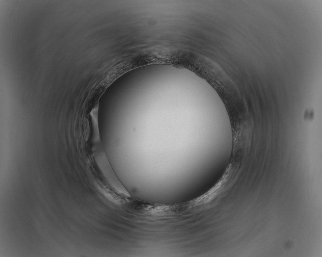 X0000097860186200803281320