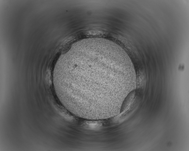 X0000097860187200803281320