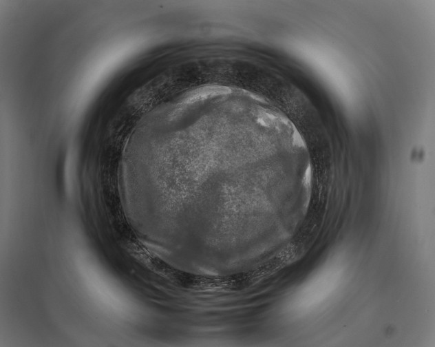 X0000097860189200803281320