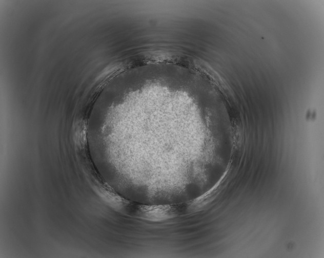 X0000097860191200803281320