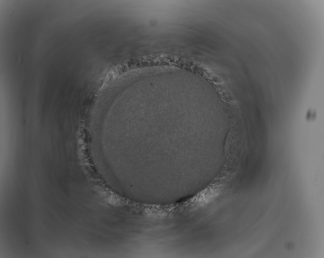 X0000097860192200803281320