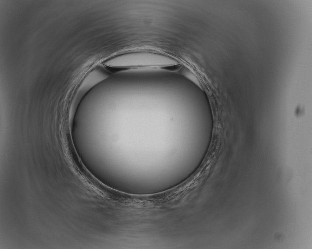 X0000097860193200803281319