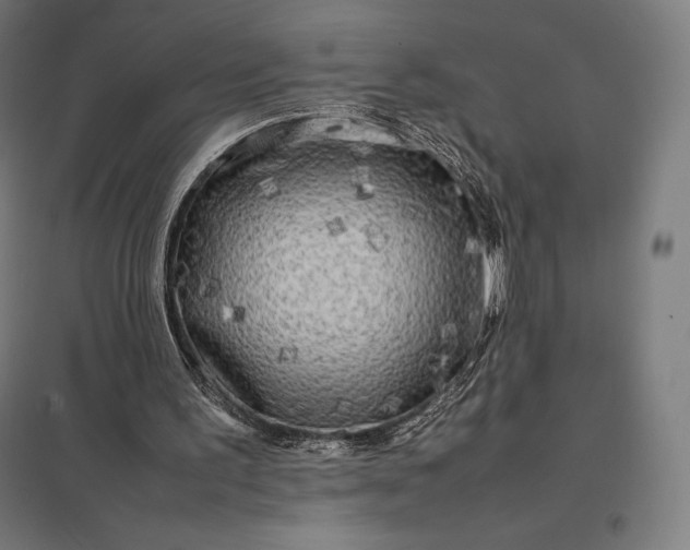 X0000097860195200803281319