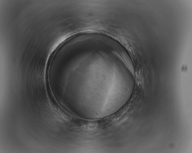 X0000097860196200803281319