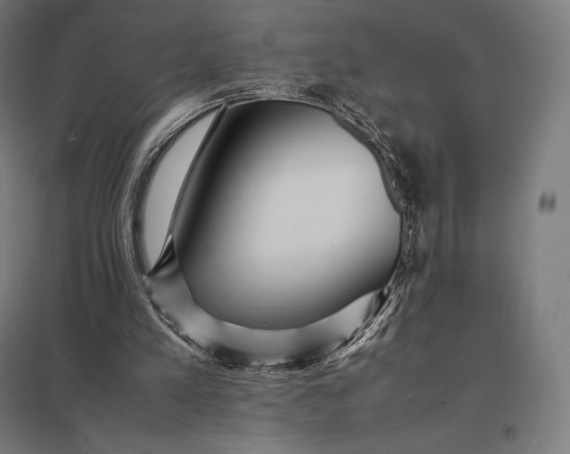 X0000097860197200803281319