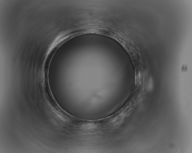 X0000097860198200803281319