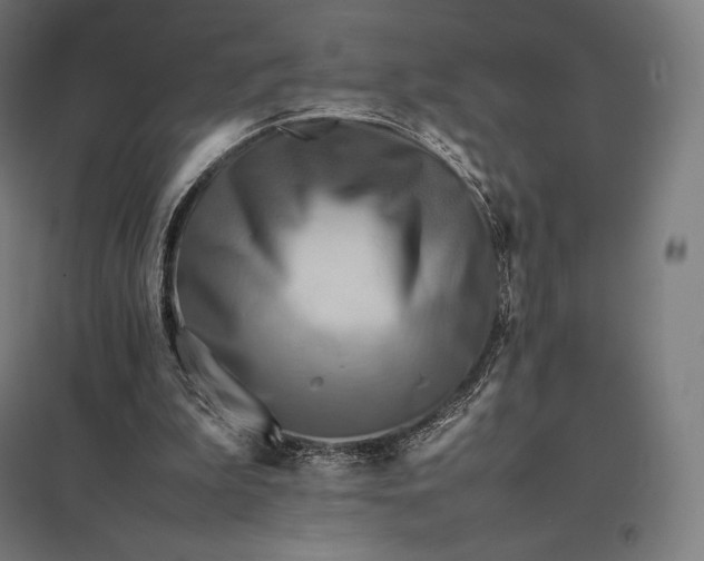 X0000097860199200803281319