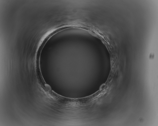 X0000097860200200803281319