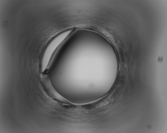 X0000097860201200803281319