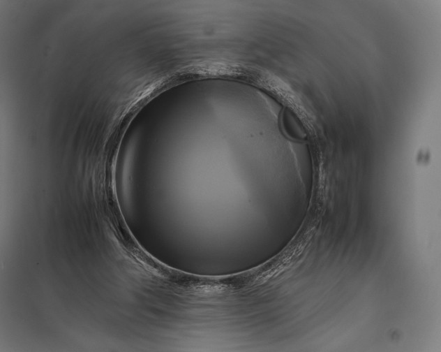 X0000097860202200803281319