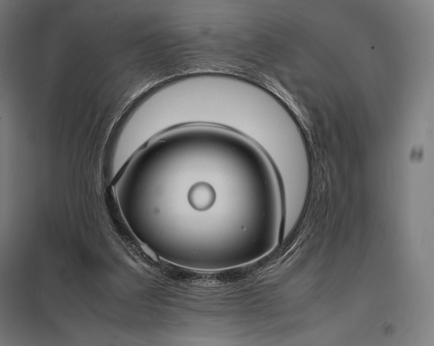 X0000097860203200803281319