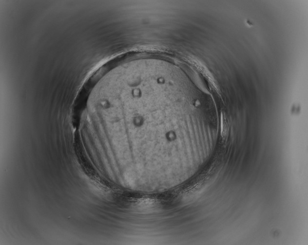 X0000097860204200803281319