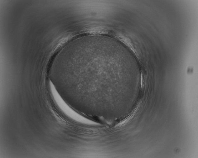 X0000097860205200803281319