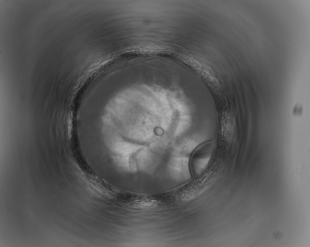 X0000097860206200803281319