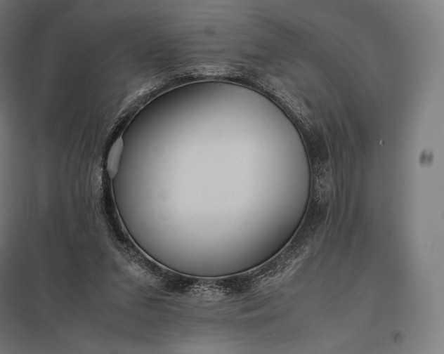 X0000097860207200803281319