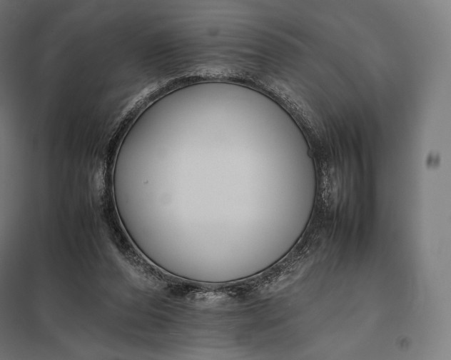 X0000097860208200803281319