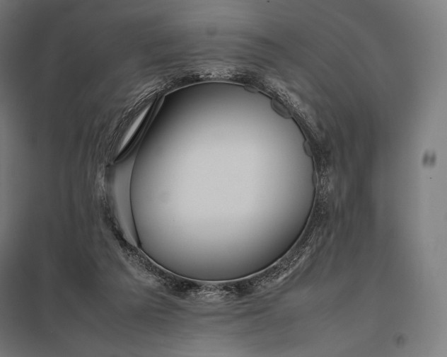 X0000097860209200803281319