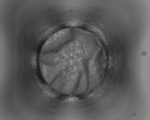 X0000097860210200803281319