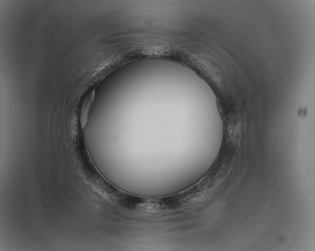 X0000097860211200803281319