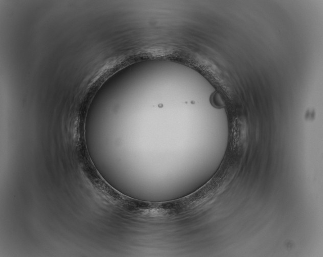 X0000097860212200803281319