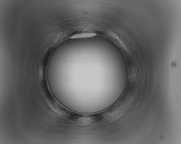 X0000097860213200803281319