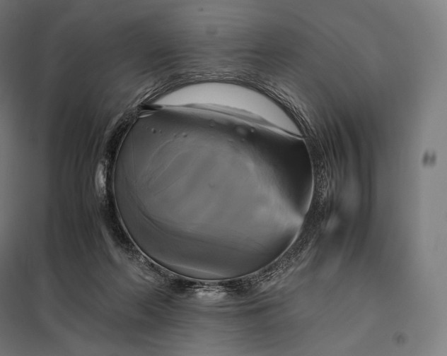 X0000097860214200803281319