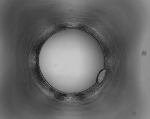 X0000097860215200803281319