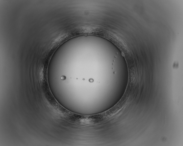 X0000097860216200803281319