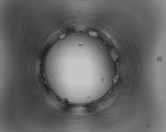 X0000097860217200803281319