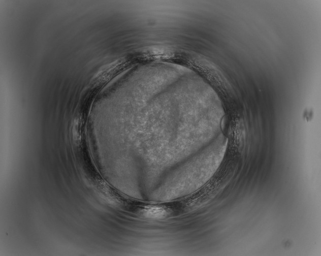 X0000097860218200803281319