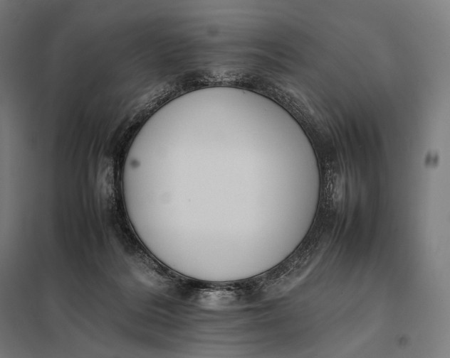 X0000097860220200803281319