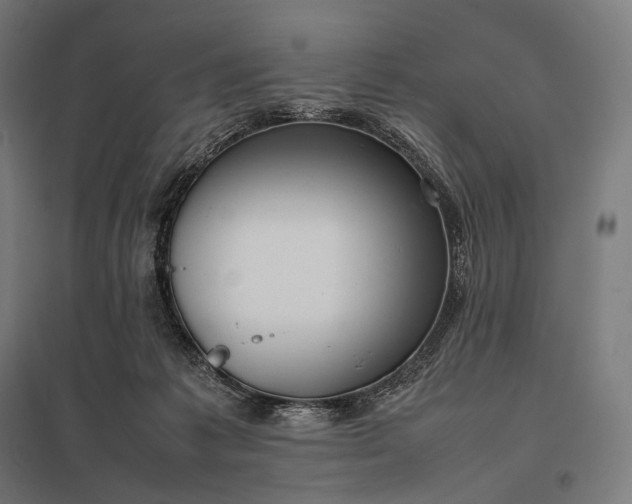 X0000097860221200803281319