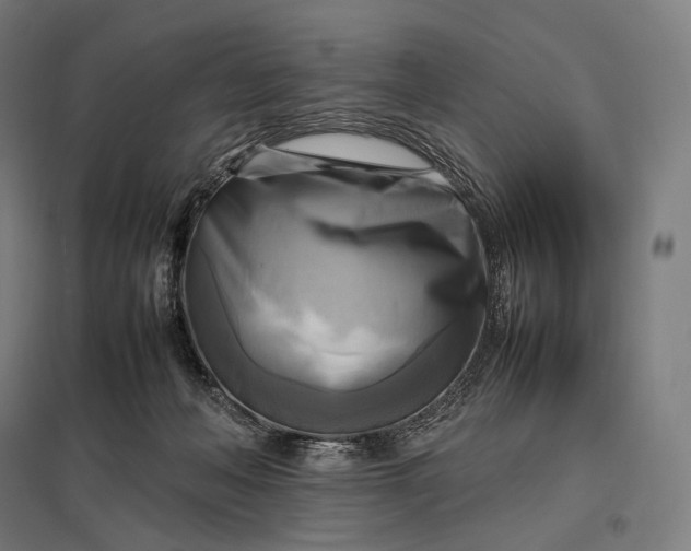 X0000097860222200803281319