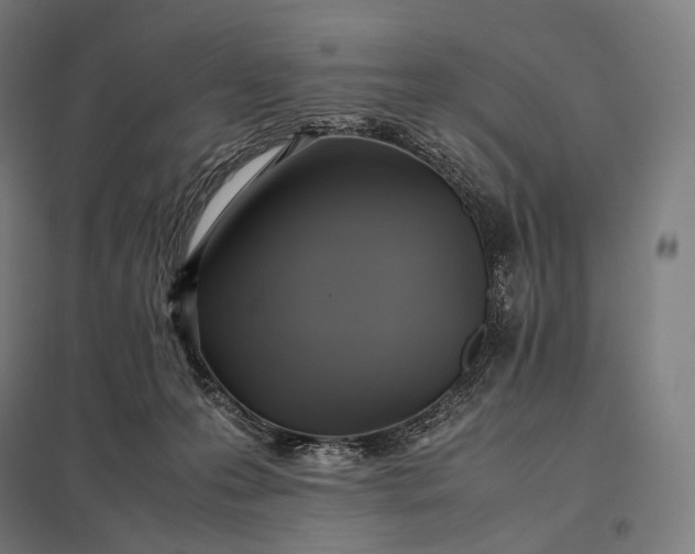 X0000097860223200803281319