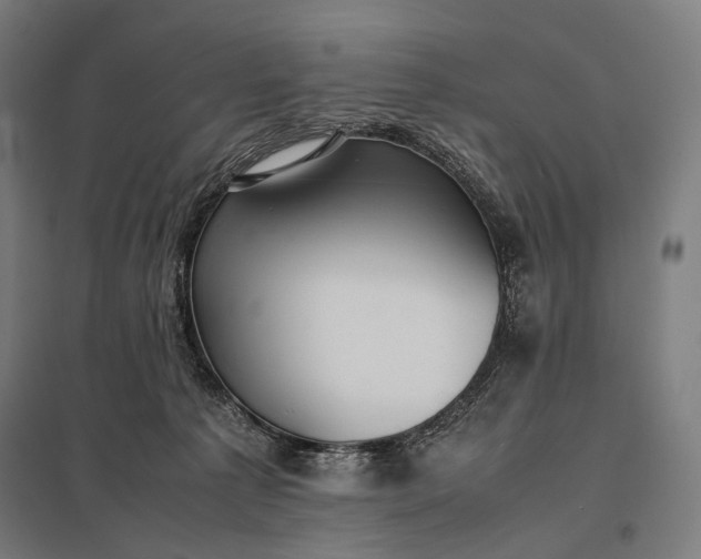 X0000097860225200803281319