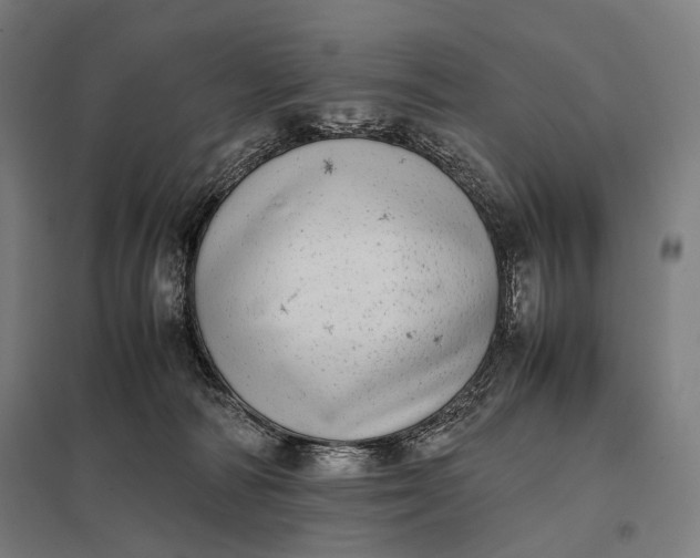 X0000097860226200803281319