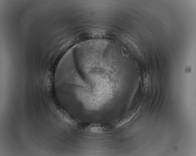 X0000097860228200803281319