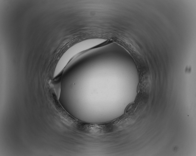 X0000097860229200803281319