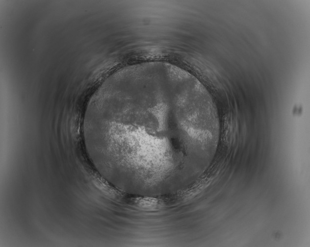 X0000097860230200803281319