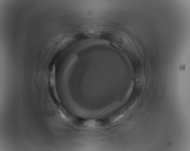 X0000097860231200803281319