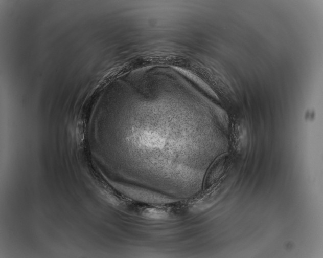 X0000097860232200803281319